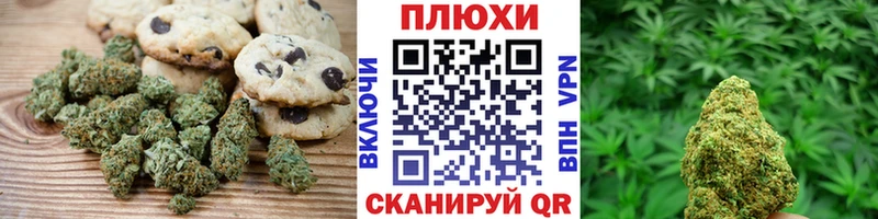 гидра   Анива  Cannafood конопля 