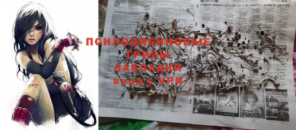 ешки Алзамай