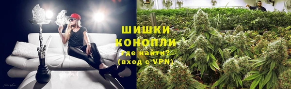 ешки Алзамай