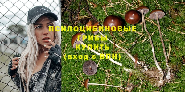 ешки Алзамай