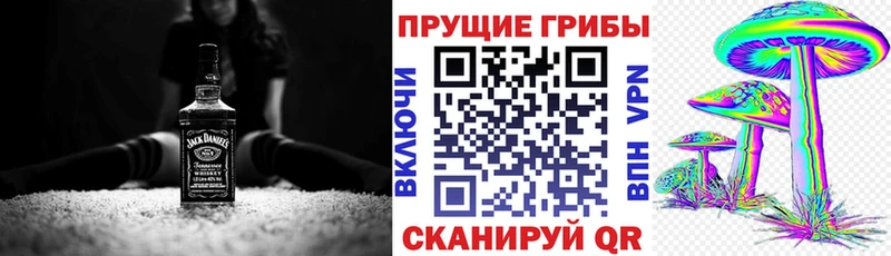 Псилоцибиновые грибы Psilocybe  наркота  Анива 
